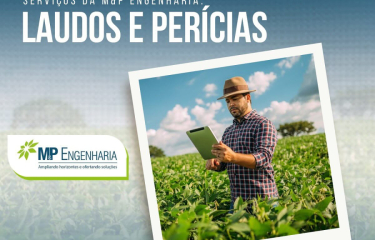 Serviços: Laudos e Perícias