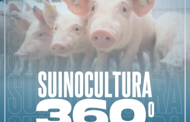 Conheça os nossos serviços ofertados na área da suinocultura!