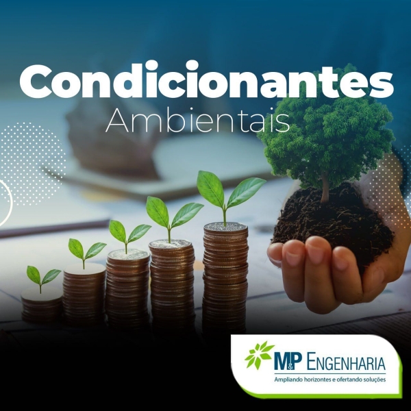 Condicionantes ambientais