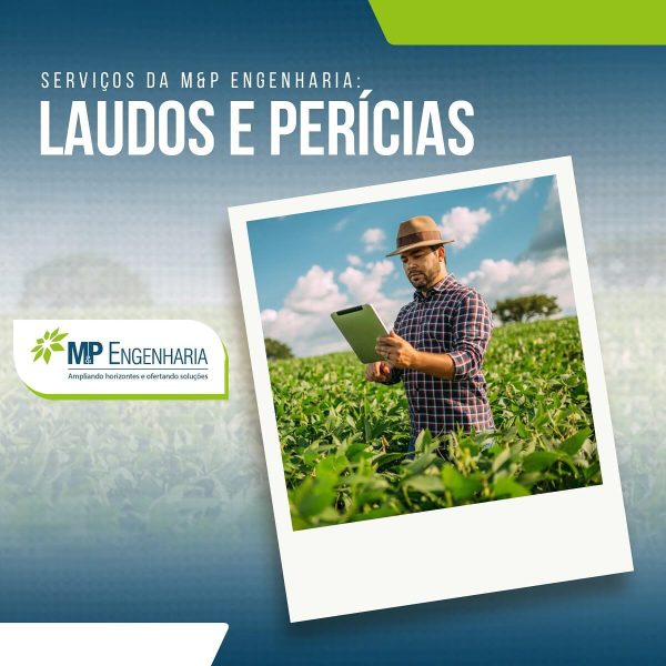 Serviços: Laudos e Perícias