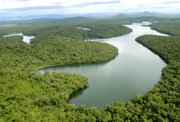 Assuntos importantes para a pauta ambiental em MG são apresentados em reunião do Copam