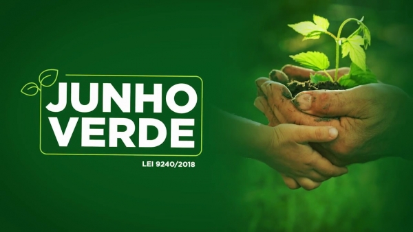 Senado aprova campanha anual ‘Junho Verde’ em favor do meio ambiente