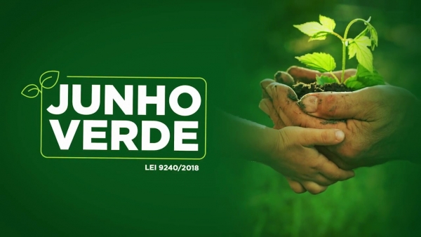 Senado aprova campanha anual ‘Junho Verde’ em favor do meio ambiente