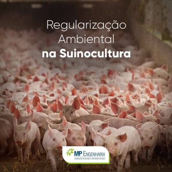 Regularização ambiental na suinocultura