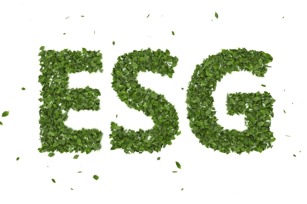 ESG parece, mas não é o mesmo que sustentabilidade